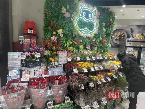 鮮花消費(fèi)日?；厔?shì)明顯，武漢時(shí)令春花綻放新商機(jī)