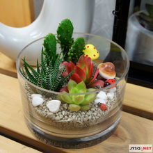 俏皮綠植送清涼，花卉禮品助你留住夏日清新